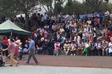 Día de Canarias en Telde, en imágenes (II) (Foto TA e Ildefonso Rodríguez)